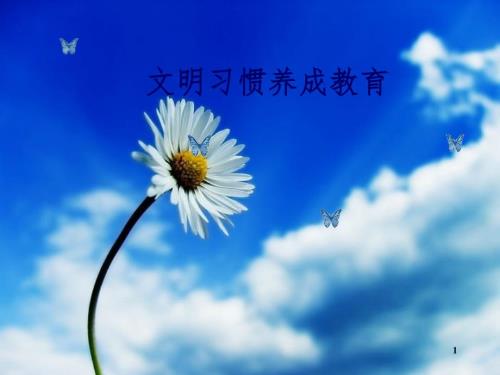 文明习惯养成教育主题班会PPT课件.ppt