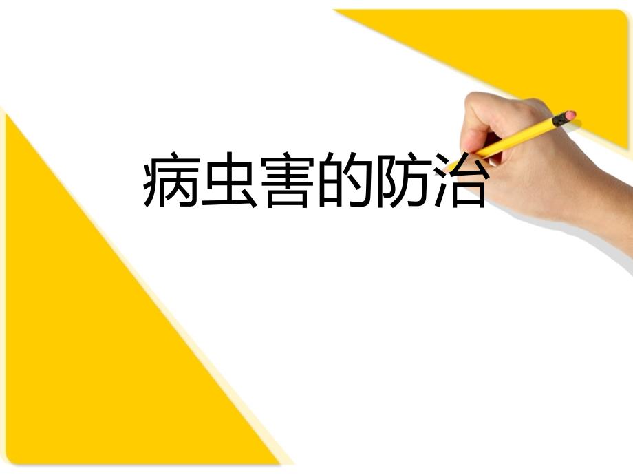 病虫害的防治PPT课件.ppt_第1页
