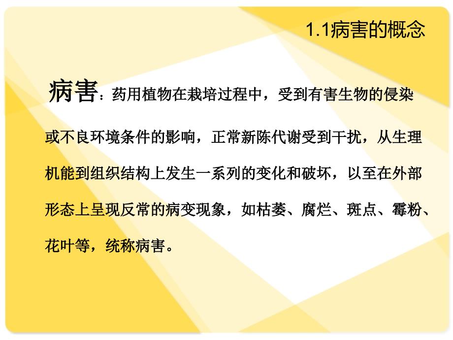 病虫害的防治PPT课件.ppt_第3页