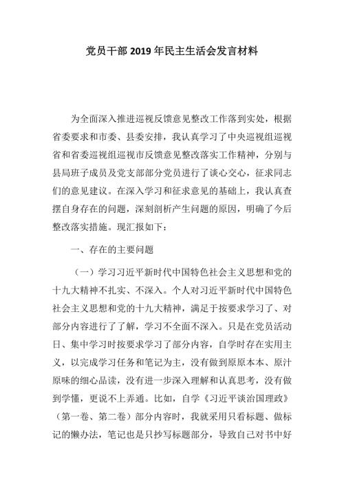 汇报讲话党员干部民主生活会发言材料.docx
