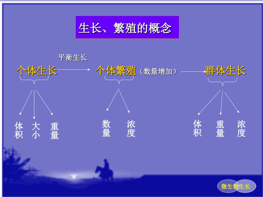 微生物课件微生物的生长.ppt_第3页