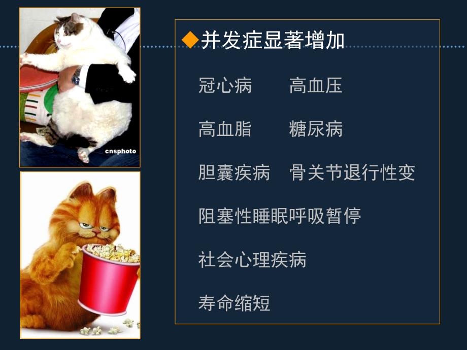 病态肥胖患者围手术期的的气道管理长海麻醉周倪文.ppt_第3页