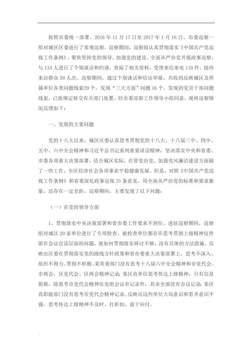 巡察反馈意见山西稿word.doc