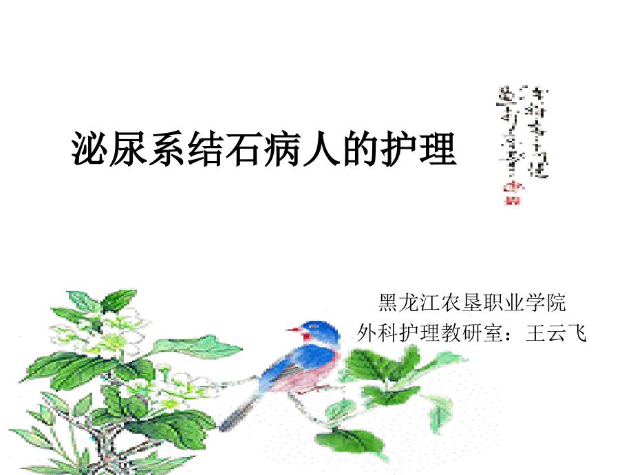 泌尿系结石PPT课件.ppt_第1页