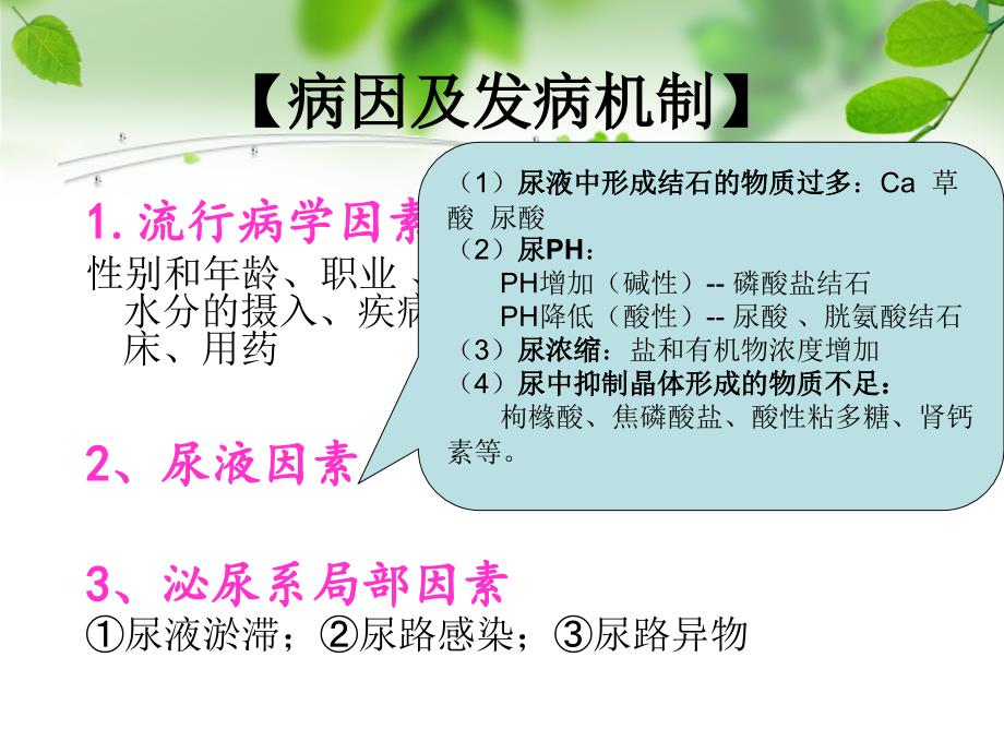 泌尿系结石PPT课件.ppt_第3页