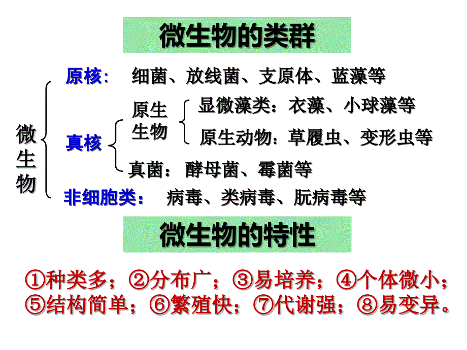 微生物的实验室培养公开课.ppt_第2页