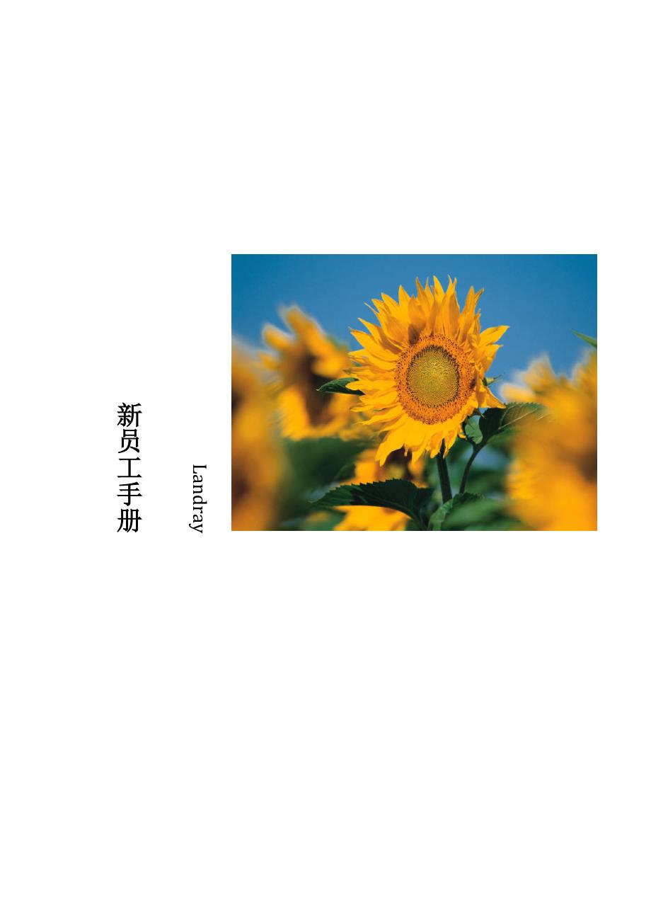 新版新员工标准手册范本.doc_第1页