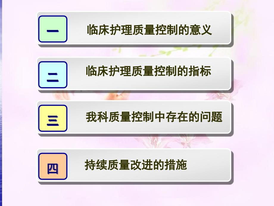护理质量控制与持续改进培训教材.pptx_第2页