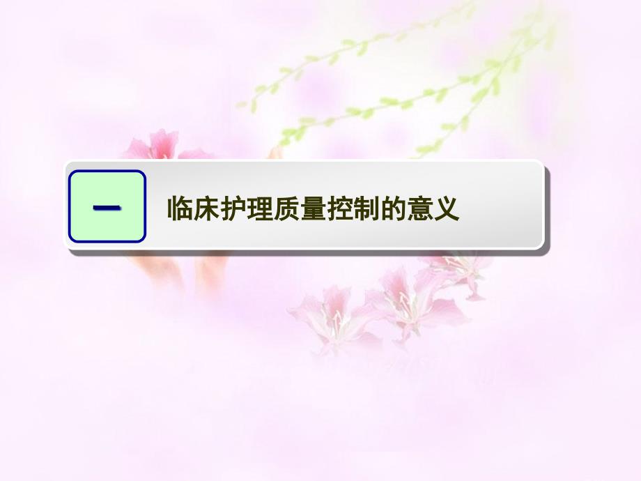 护理质量控制与持续改进培训教材.pptx_第3页