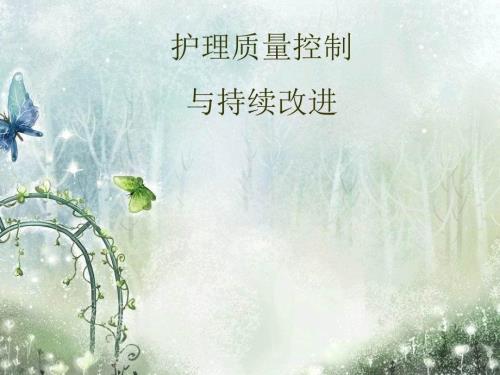 护理质量控制与持续改进培训教材.pptx