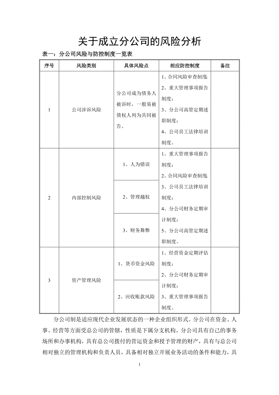 成立分公司的风险分析.doc_第1页