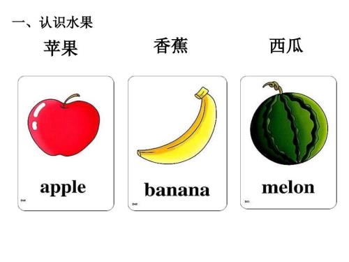 小孩看图识物PPT课件.ppt