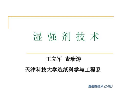 湿强剂技术.ppt.ppt