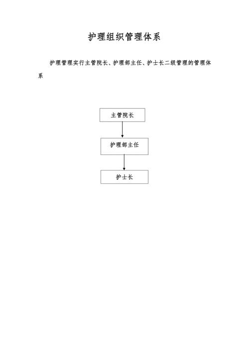 护理组织管理体系.doc