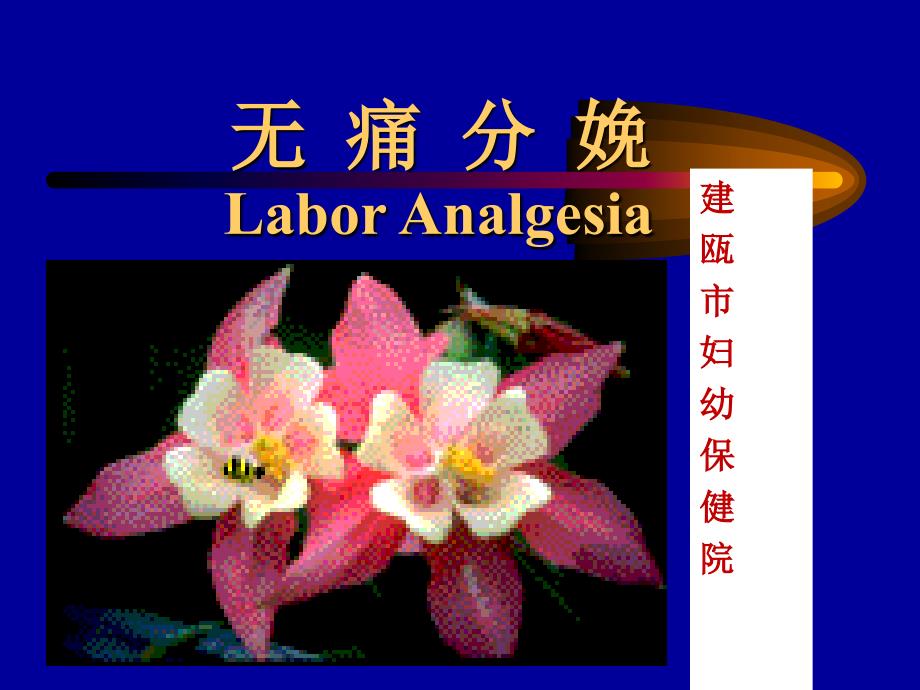 无痛分娩PPT课件.ppt_第1页