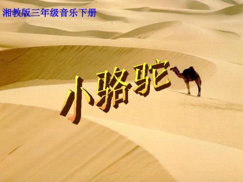 湘教版音乐三下小骆驼PPT课件.ppt