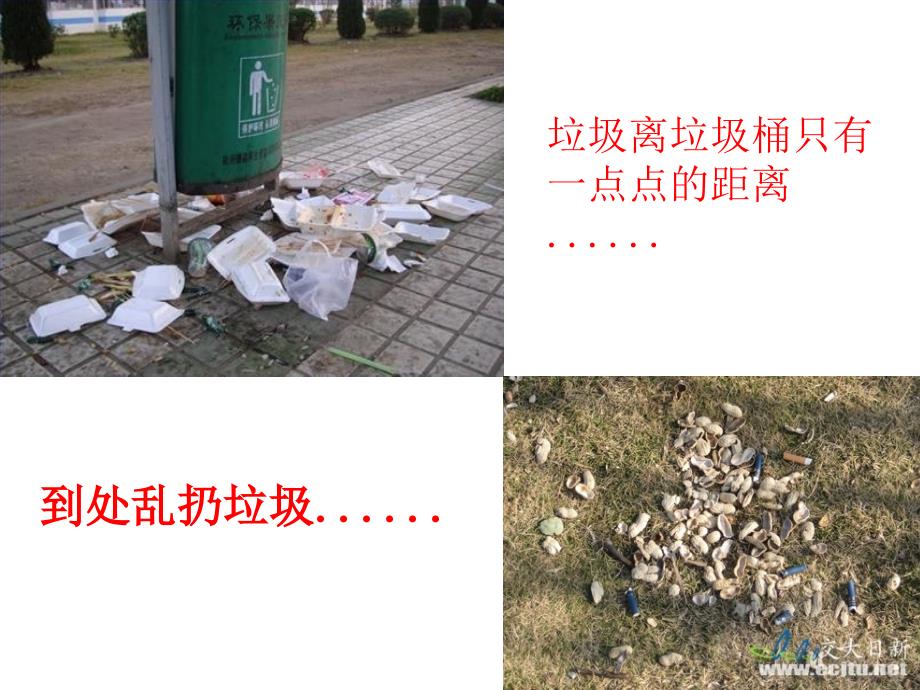 爱护校园环境课件.ppt_第3页