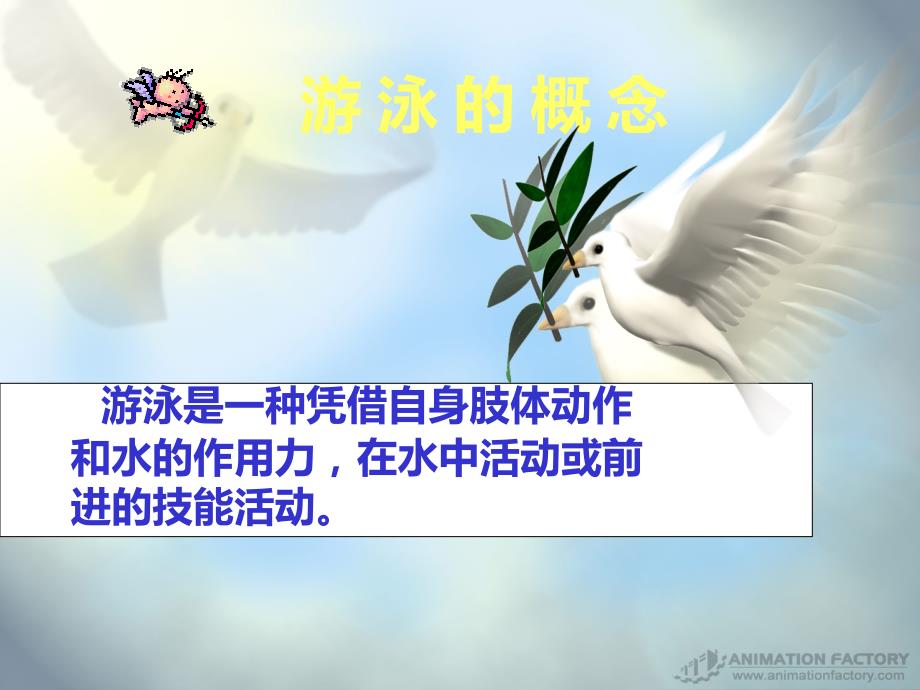 游泳运动概述PPT课件.ppt_第3页
