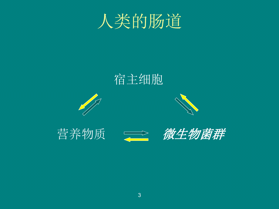 新生儿肠道微生态PPT课件.ppt_第3页