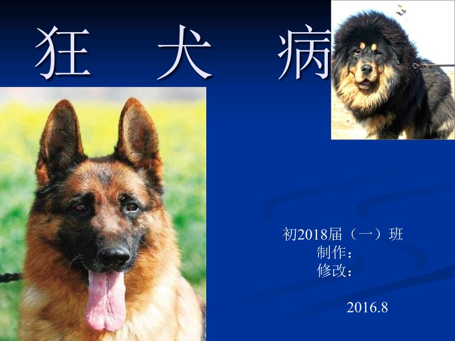 狂犬病ppt课件.ppt_第1页