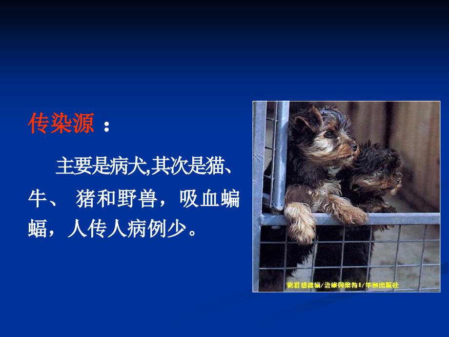 狂犬病ppt课件.ppt_第3页