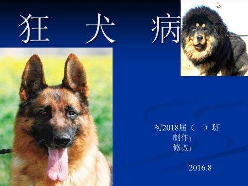 狂犬病ppt课件.ppt