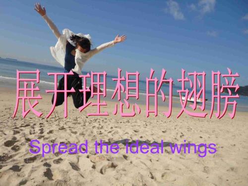 展示理想的翅膀主题班会.ppt