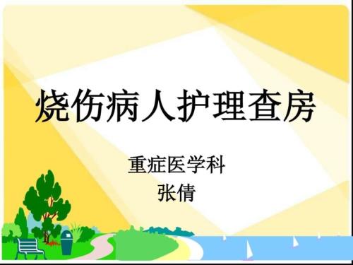 烧伤护理查房PPT课件.ppt