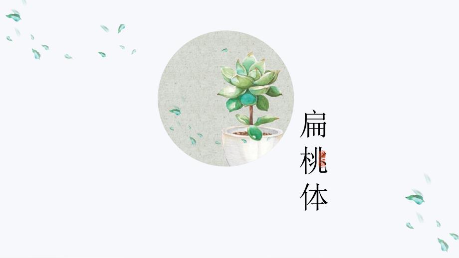 扁桃体解剖和疾病.ppt_第1页