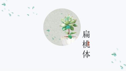 扁桃体解剖和疾病.ppt