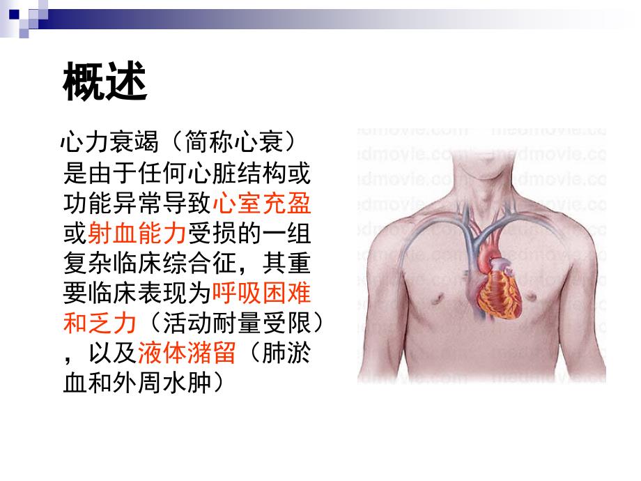 急性左心衰的诊断和治疗.ppt_第1页