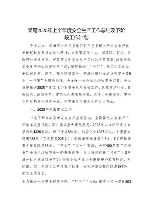某局2025年上半年度安全生产工作总结及下阶段工作计划.docx