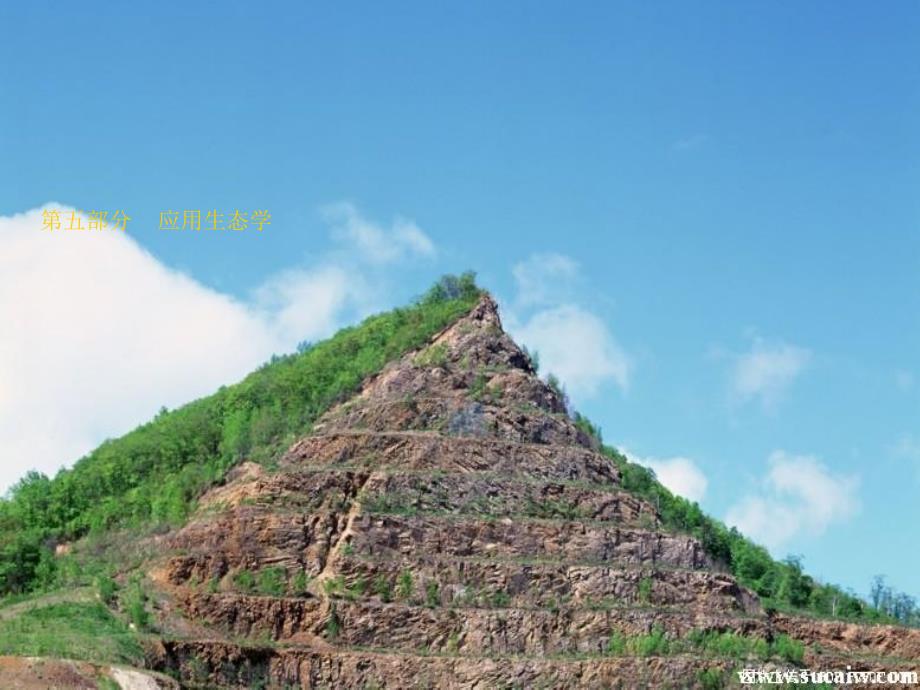 应用生态学PPT课件.ppt_第1页