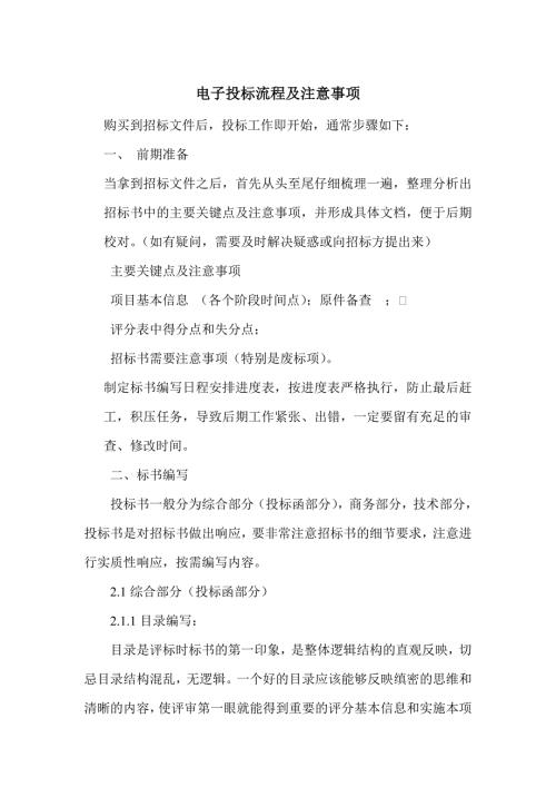 电子投标注意事项及流程.doc