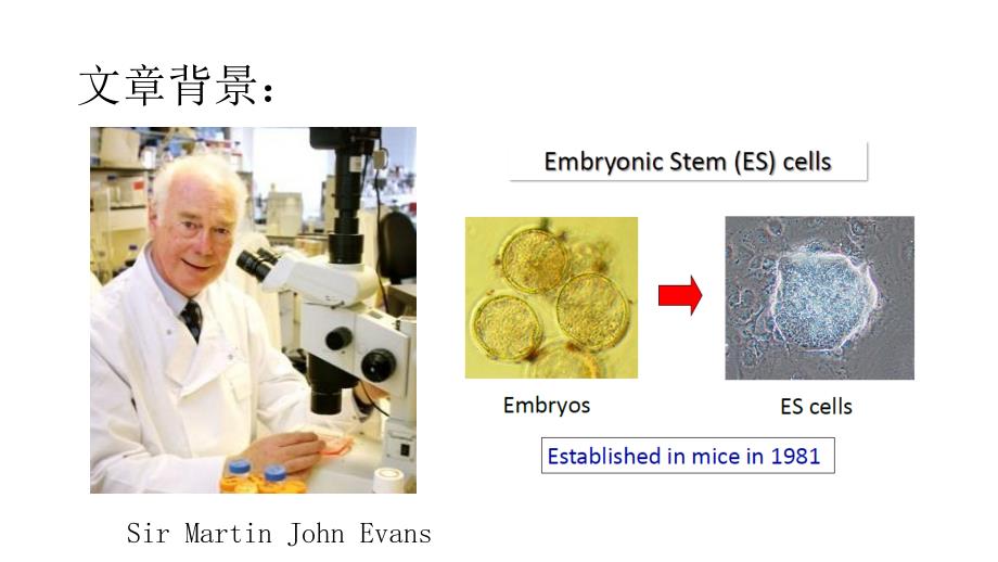 山中伸弥发明IPS细胞的介绍及启示.ppt_第3页