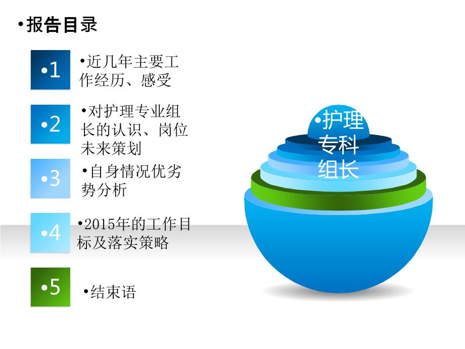 护理组长竞聘.ppt_第2页