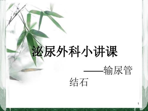 泌尿外科小讲课之输尿管结石PPT课件.ppt