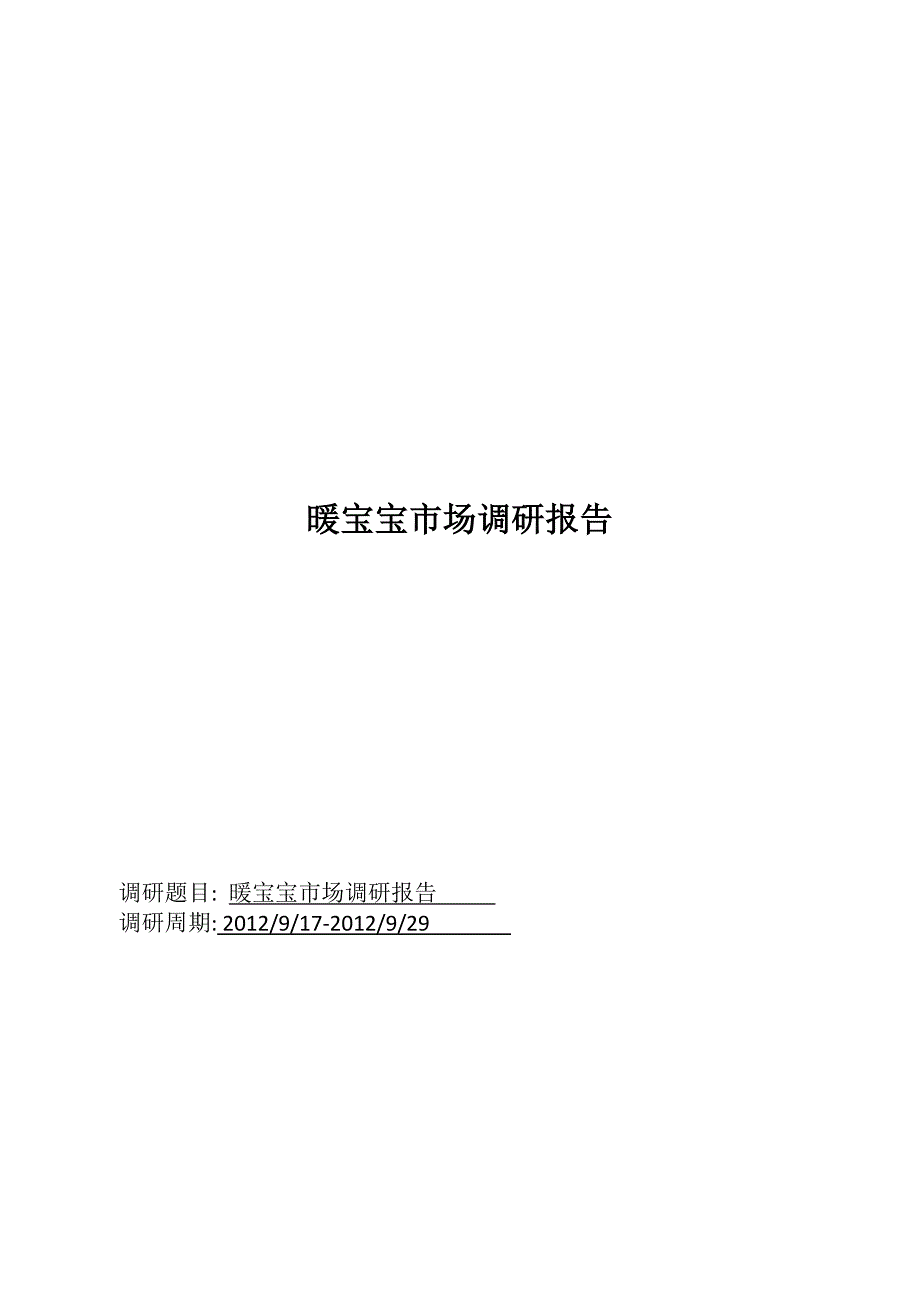 暖宝宝市场调研报告.doc_第1页