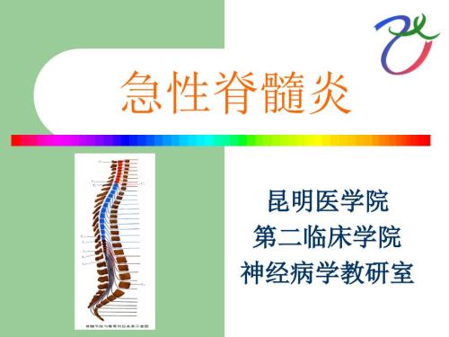 急性脊髓炎ppt课件.ppt