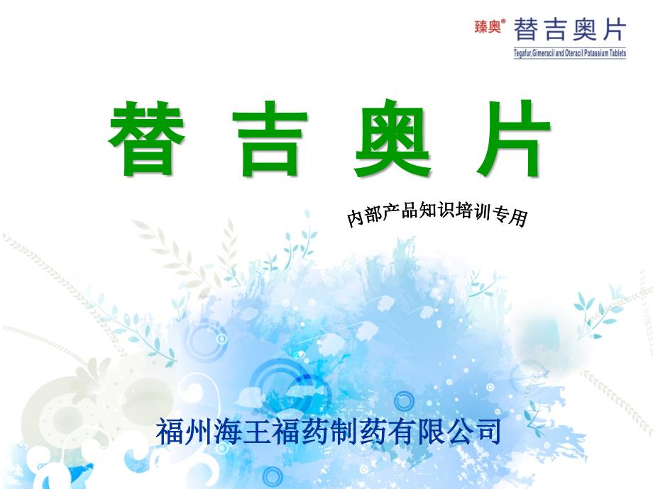替吉奥片内部产品知识培训专用.ppt_第1页