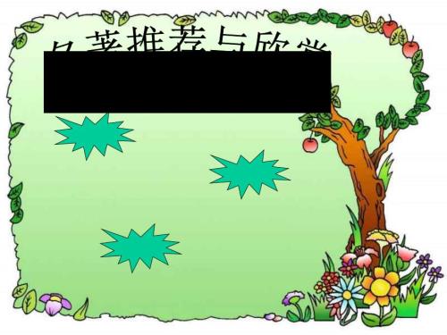 汤姆索亚历险记PPT课件完整精美.ppt