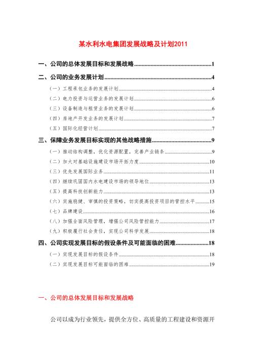 某水利水电集团发展战略及计划.doc