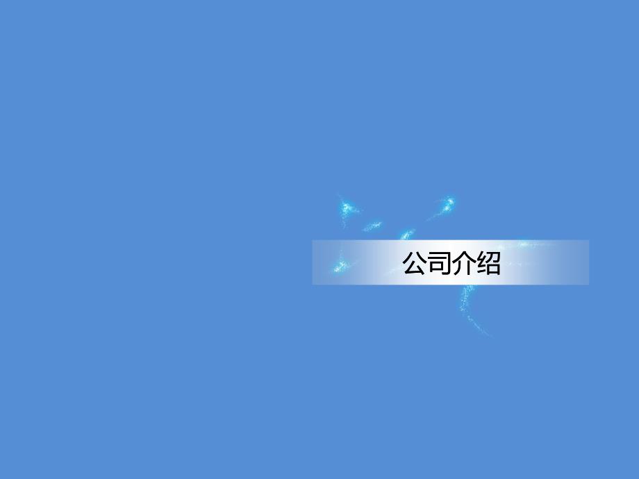 汽车公司介绍ppt.ppt_第2页