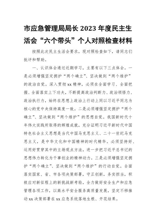 市应急管理局局长2023民主生活会六个带头个人对照检查材料.docx