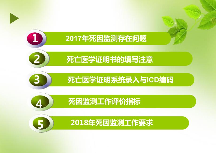 死因监测工作培训演示文档.ppt_第2页