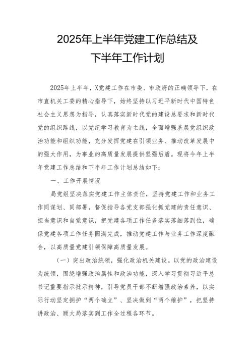 开展2025年上半年党建工作总结及下半年工作计划汇编13份.docx