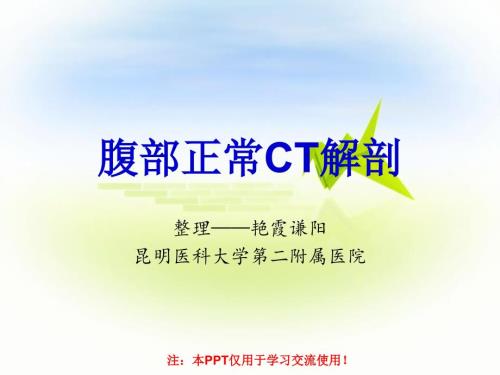 正常腹部ct解剖PPT课件.ppt