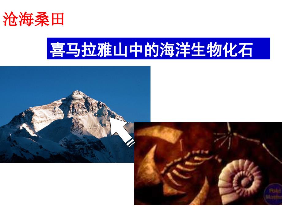 海陆变迁课件.ppt_第3页