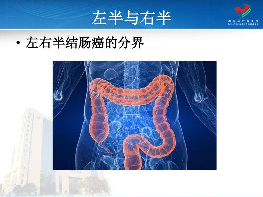 晚期结直肠癌内科治疗ppt课件.ppt_第3页