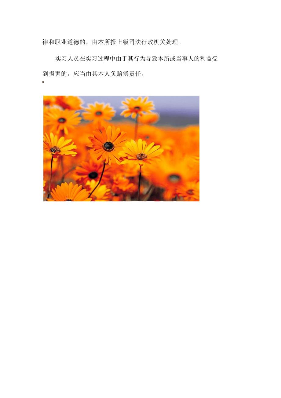 律师事务所实习人员管理制度.doc_第3页